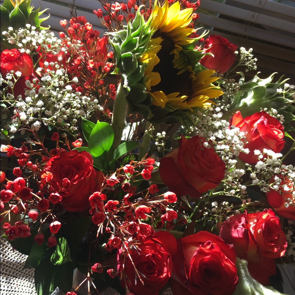 Welcome to our shop!